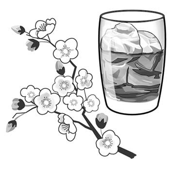 梅酒